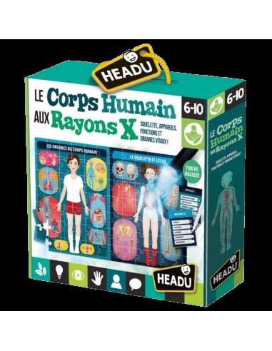 corps-humain-headu