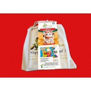 EnVoyaJeux Box Japon