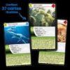 Défis nature : Dinosaures 1 (2022) - Bioviva - Jeu de cartes écoconçu – Image 3