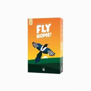 Fly home - Helvetiq - Fun by nature - Jeu de mémoire coopératif