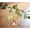 Mes premiers jeux : Où se cache Lazy ? - Haba - Jeu de motricité fine – Image 4